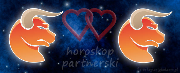 horoskop partnerski Byk Byk