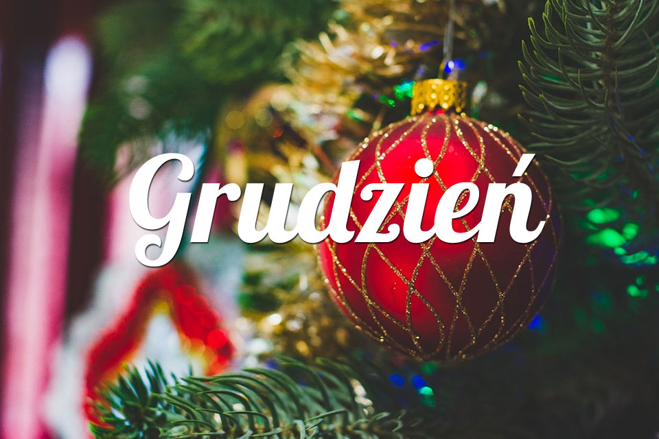 Rak Grudzień 2026