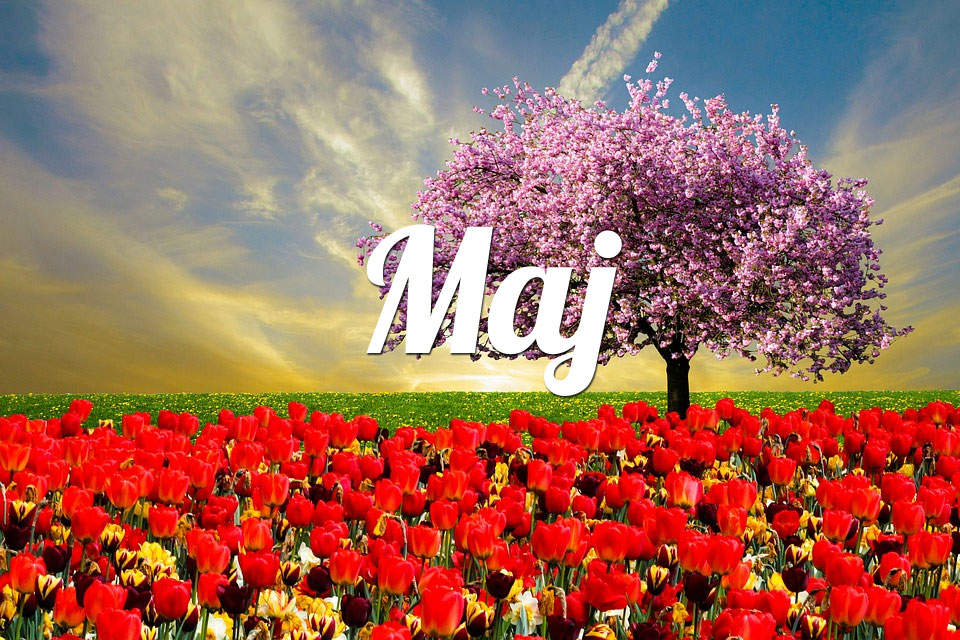 Rak Maj 2026