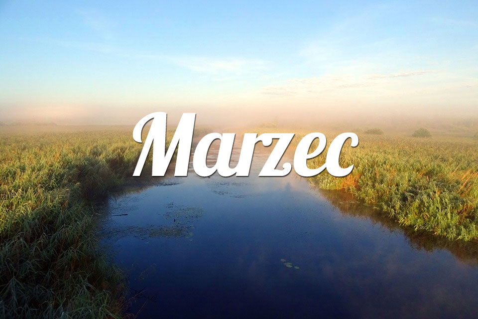 Rak Marzec 2026
