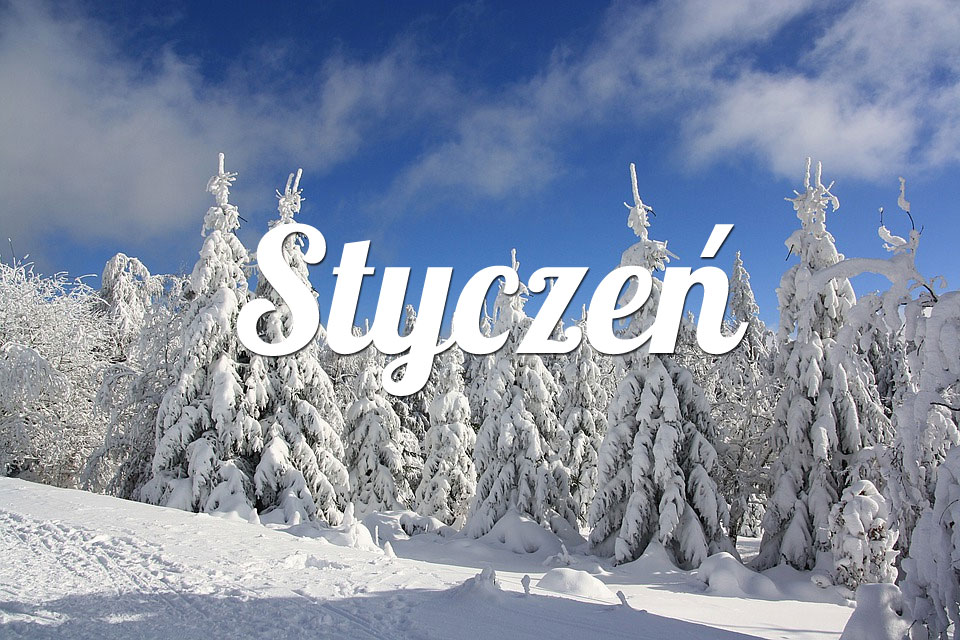 Rak Styczeń 2026