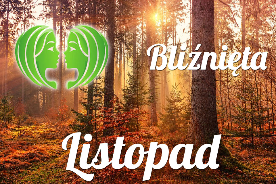 Bliźnięta horoskop Listopad