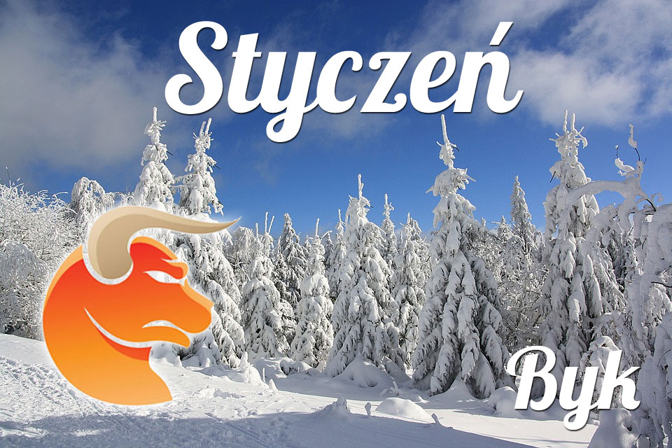 Byk horoskop Styczeń