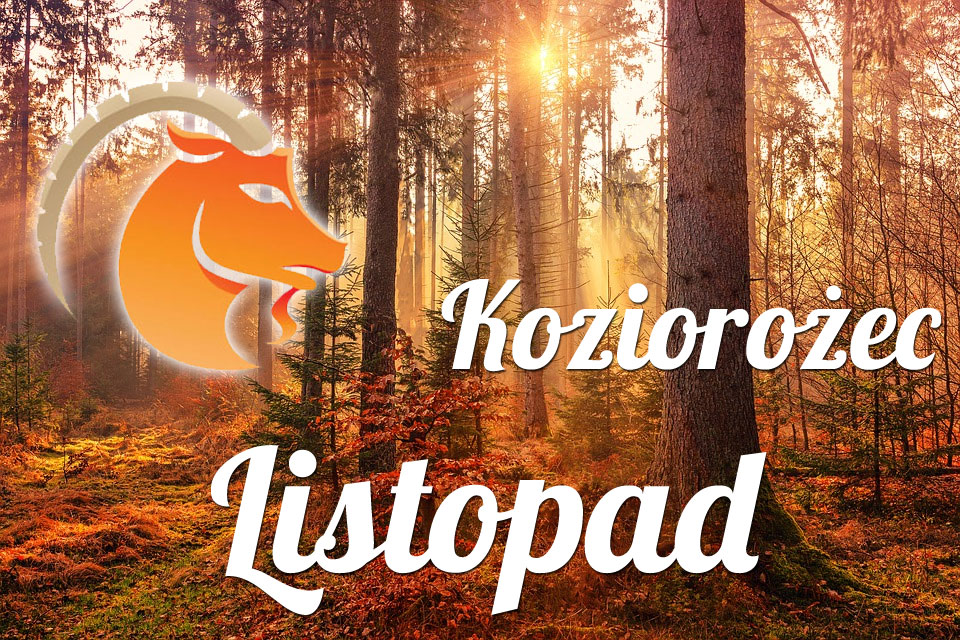 Koziorożec horoskop Listopad