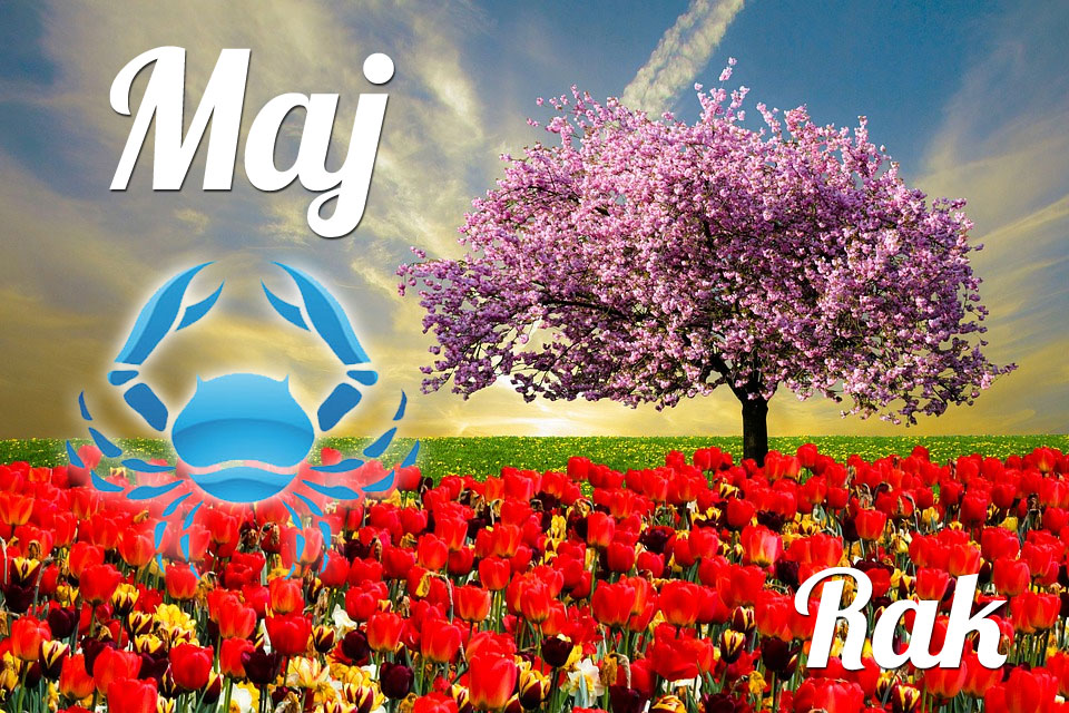 Rak horoskop Maj