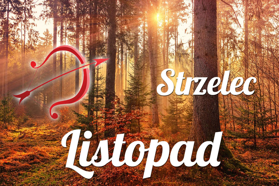 Strzelec horoskop Listopad
