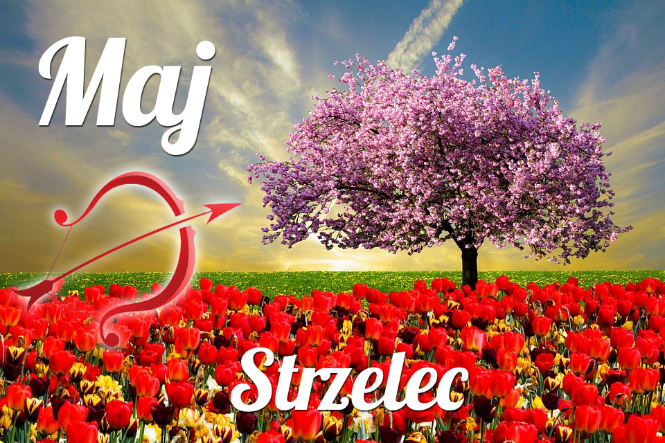 Strzelec horoskop Maj