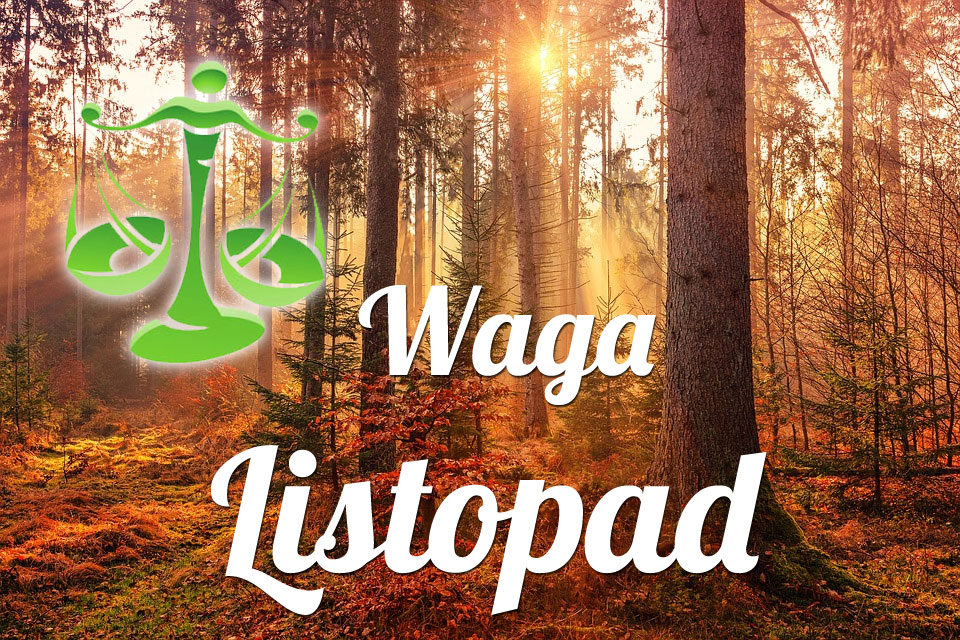 Waga horoskop Listopad
