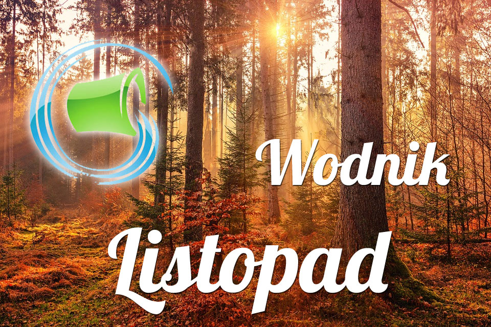 Wodnik horoskop Listopad