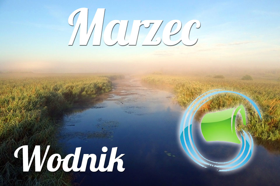 Wodnik horoskop Marzec