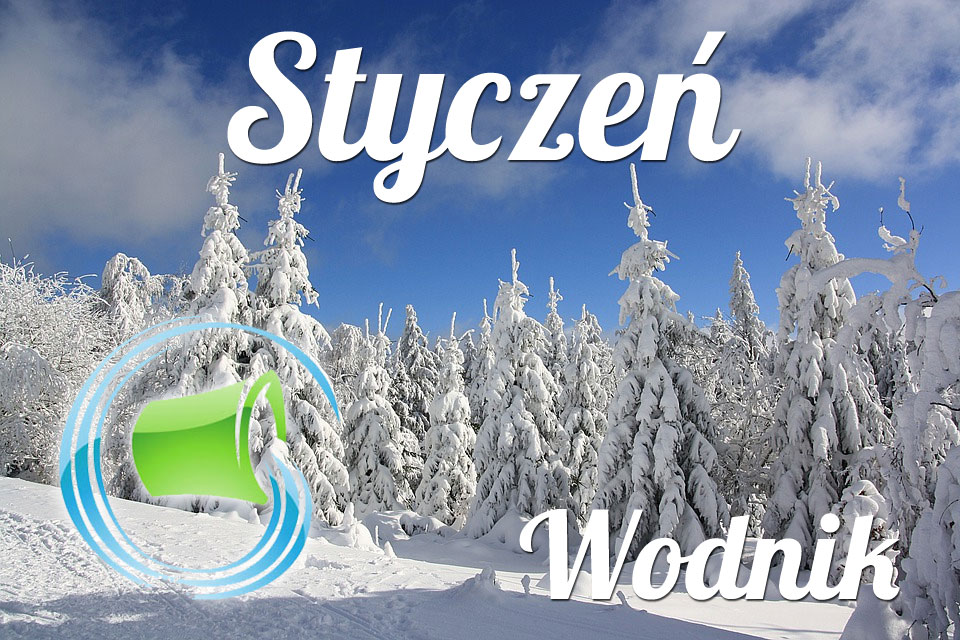 Wodnik horoskop Styczeń
