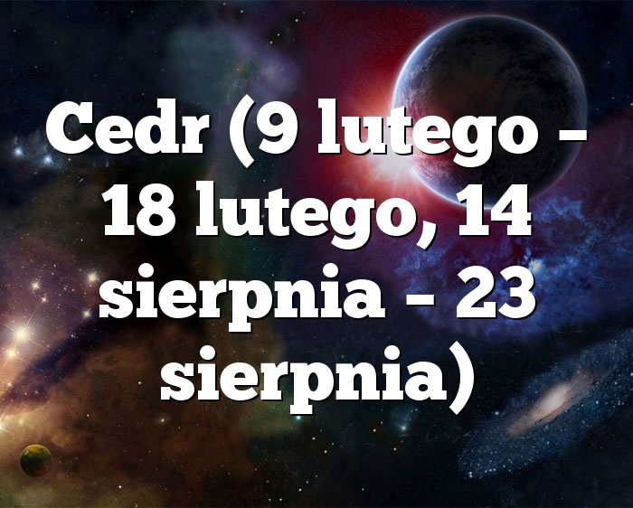 Cedr (9 lutego – 18 lutego, 14 sierpnia – 23 sierpnia)