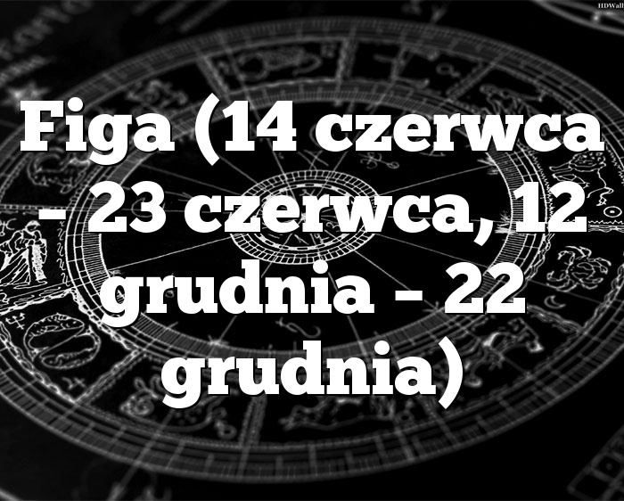 Figa (14 czerwca – 23 czerwca, 12 grudnia – 22 grudnia)
