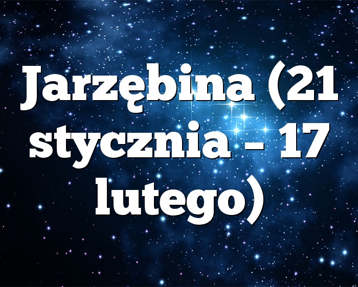 Jarzębina (21 stycznia – 17 lutego)