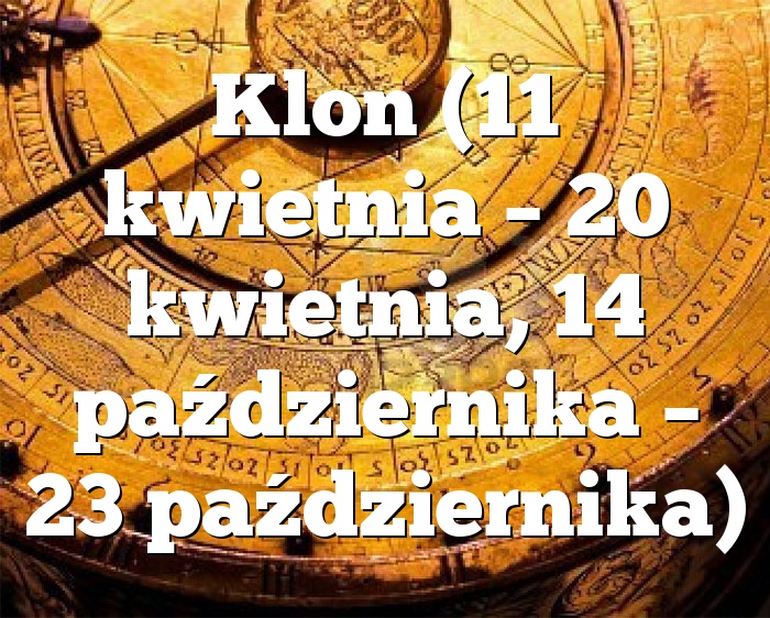 Klon (11 kwietnia – 20 kwietnia, 14 października – 23 października)