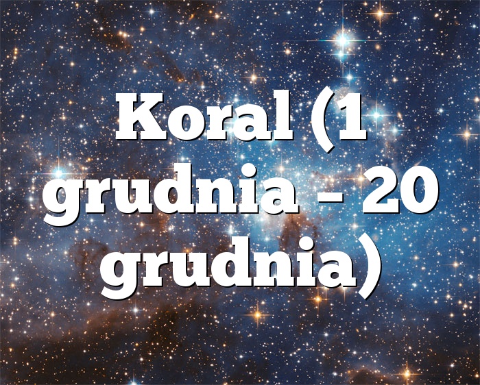 Koral (1 grudnia – 20 grudnia)