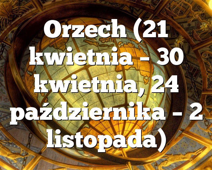Orzech (21 kwietnia – 30 kwietnia, 24 października – 2 listopada)