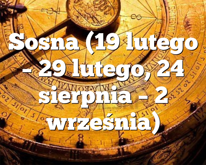 Sosna (19 lutego – 29 lutego, 24 sierpnia – 2 września)