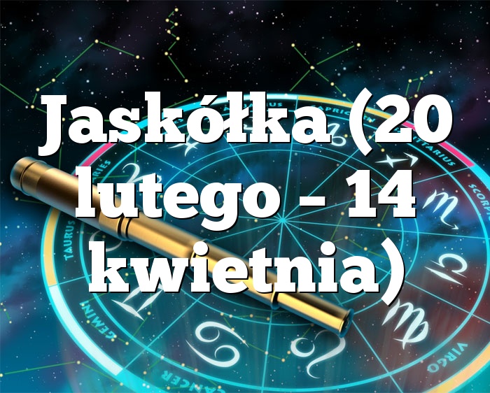 Jaskółka (20 lutego – 14 kwietnia)