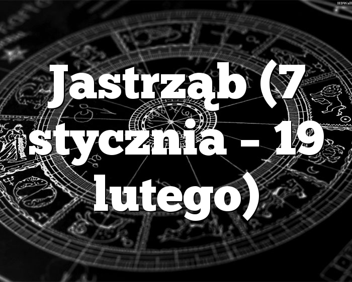 Jastrząb (7 stycznia – 19 lutego)