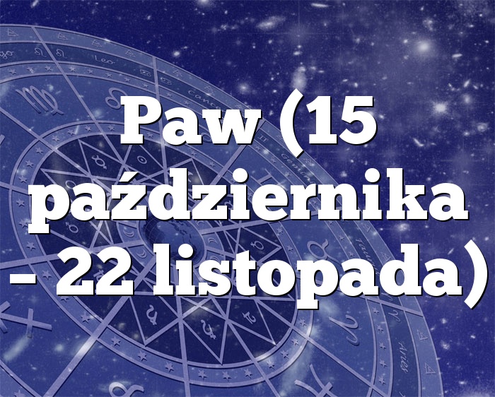 Paw (15 października – 22 listopada)