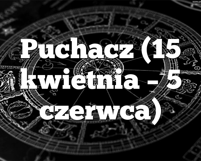 Puchacz (15 kwietnia – 5 czerwca)
