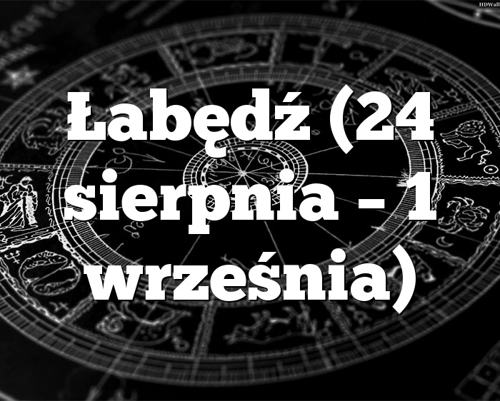 Łabędź (24 sierpnia – 1 września)