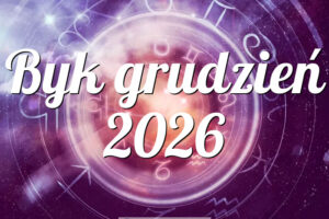 Byk grudzień 2026