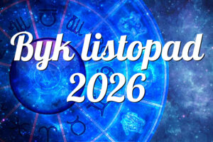 Byk listopad 2026