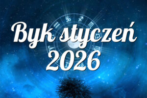 Byk styczeń 2026